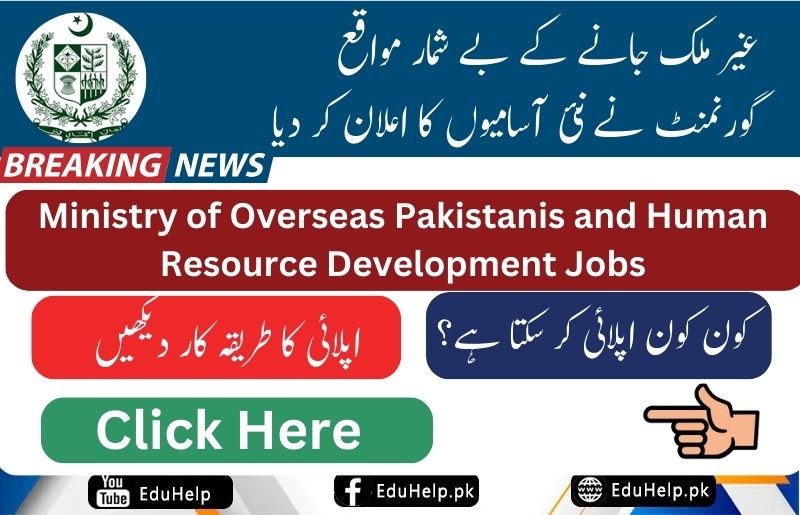 Ministry of Overseas Pakistanis and Human Resource Development Jobs