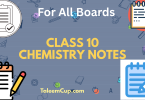 Class 10 Chemistry Notes
