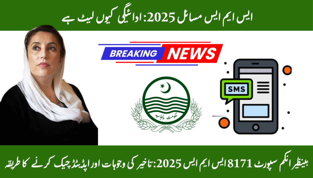 BISP 8171 SMS Issues 2025: Why Payment Is Late & Alternative Methods – Full Guide