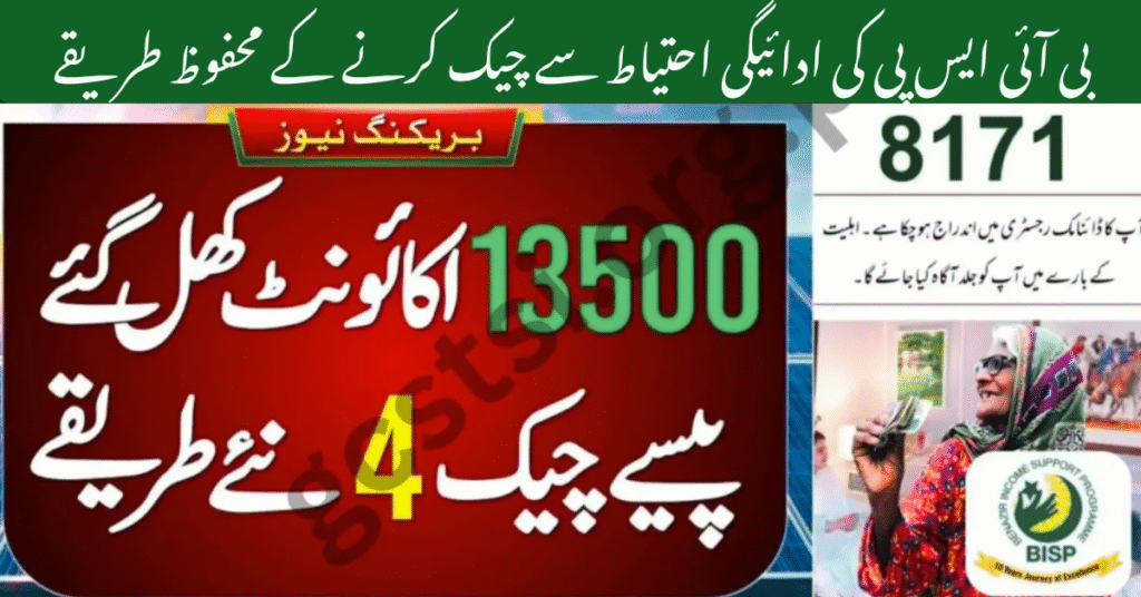 BISP 8171 Payment Discreetly: Easy Ways to Check in 2025